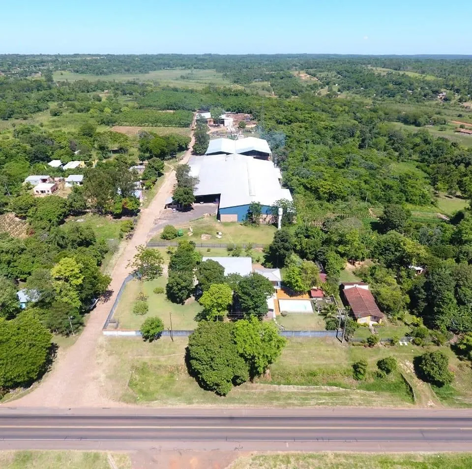 Inside plywood factory showing wood stacks